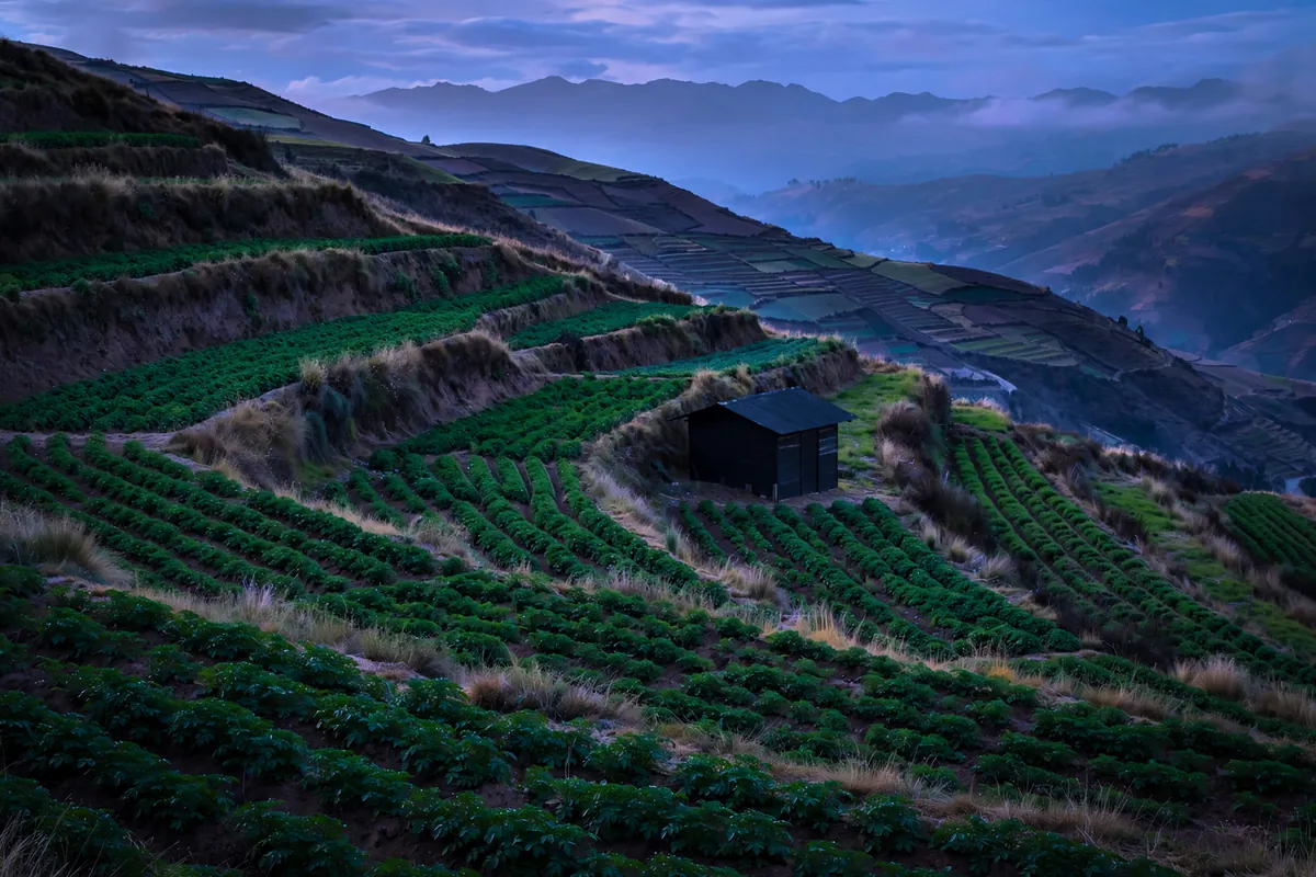 Farm or agro business